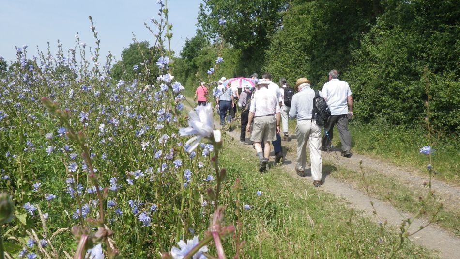 2017-06-21 01 Ellough Area.jpg