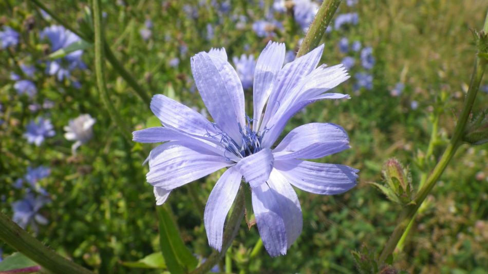 2017-06-21 02 Ellough Area.jpg