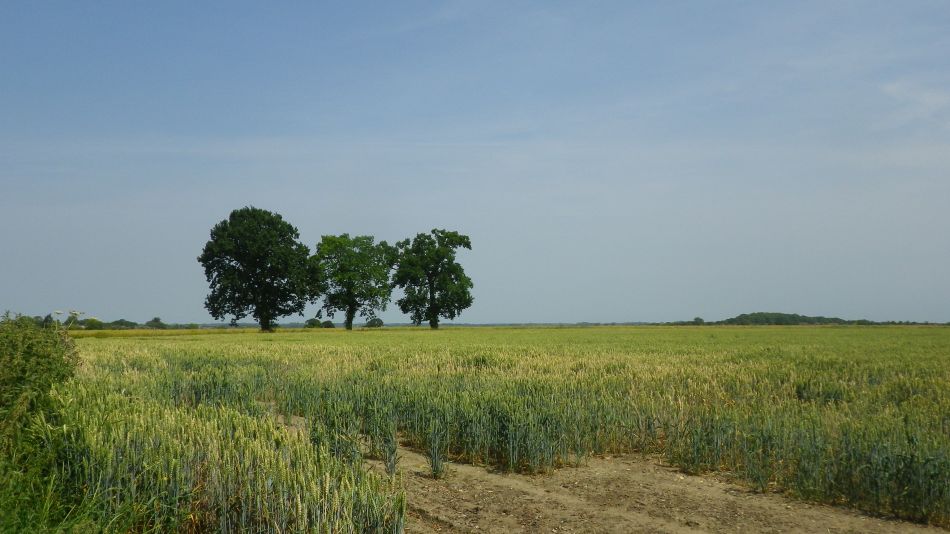 2017-06-21 09 Ellough Area.jpg