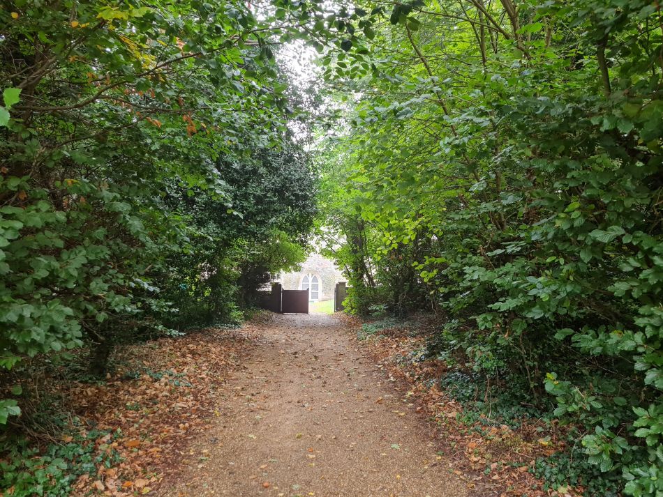 2021-10-10 04 North Cove and Carlton.jpg