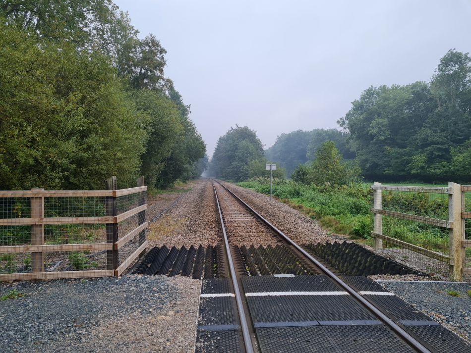 2021-10-10 09 North Cove and Carlton.jpg