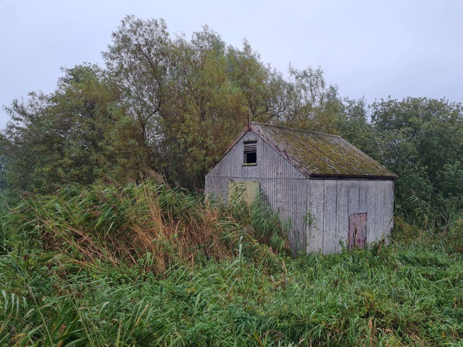 2021-10-10 10 North Cove and Carlton.jpg