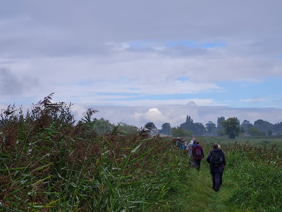 2021-10-10 11 North Cove and Carlton.jpg