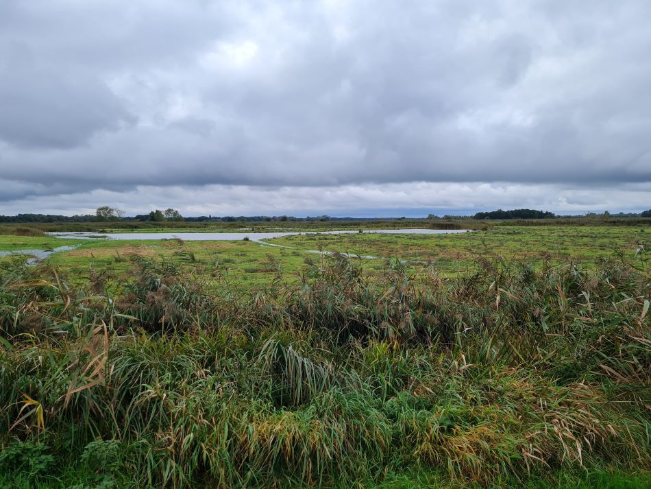 2021-10-10 13 North Cove and Carlton.jpg