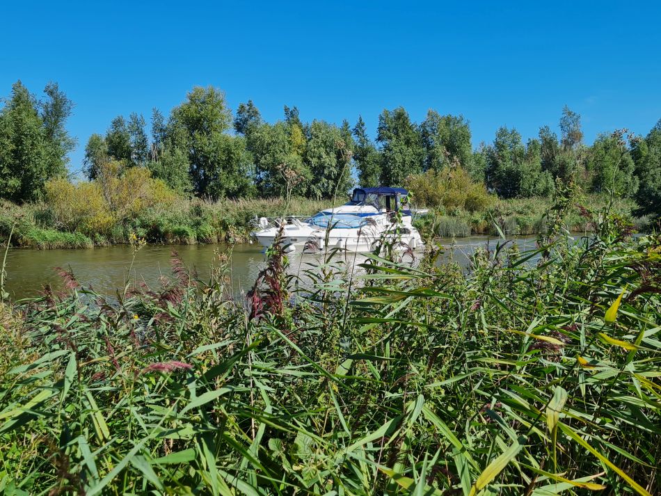 2022-08-31 08 Angles Way 21 - North Cove and Waveney.jpg