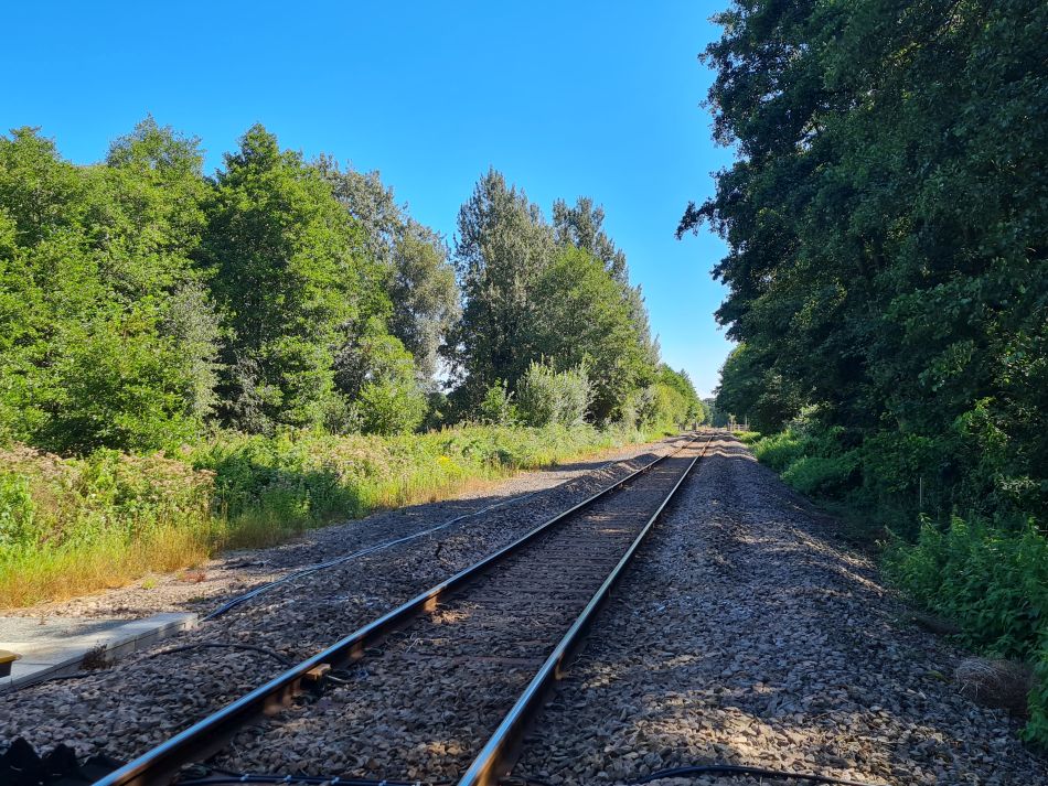 2022-08-31 11 Angles Way 21 - North Cove and Waveney.jpg