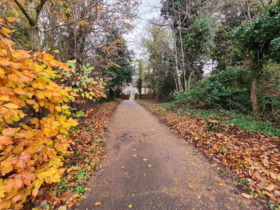 2022-12-07 03 North Cove Christmas Dinner Walk.jpg