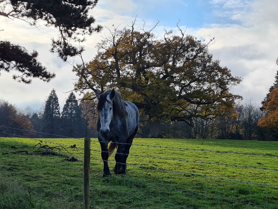 2022-12-07 08 North Cove Christmas Dinner Walk.jpg