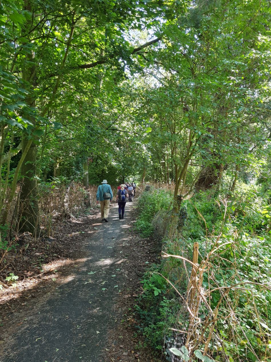 2023-08-09 05 Wade Hall.jpg