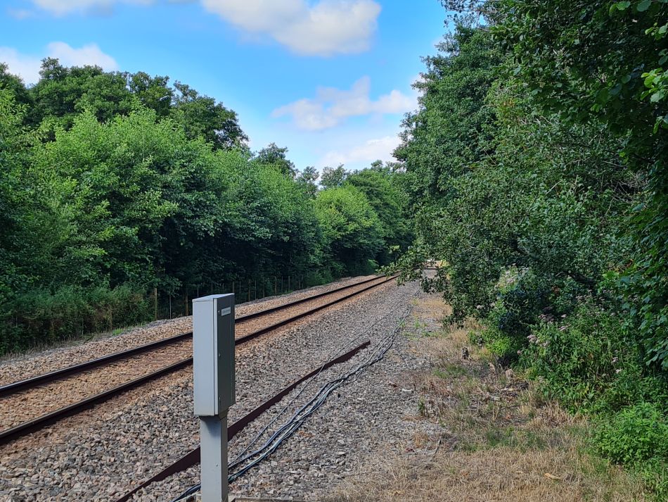 2023-08-09 07 Wade Hall.jpg