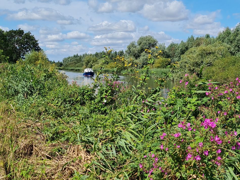 2023-08-09 08 Wade Hall.jpg