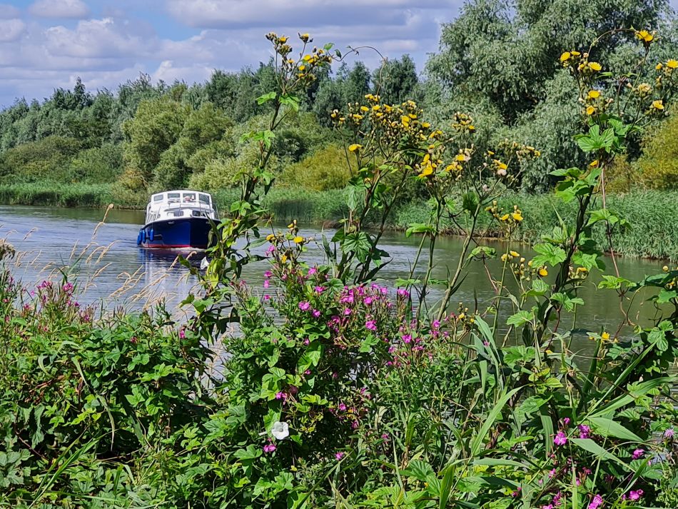 2023-08-09 09 Wade Hall.jpg