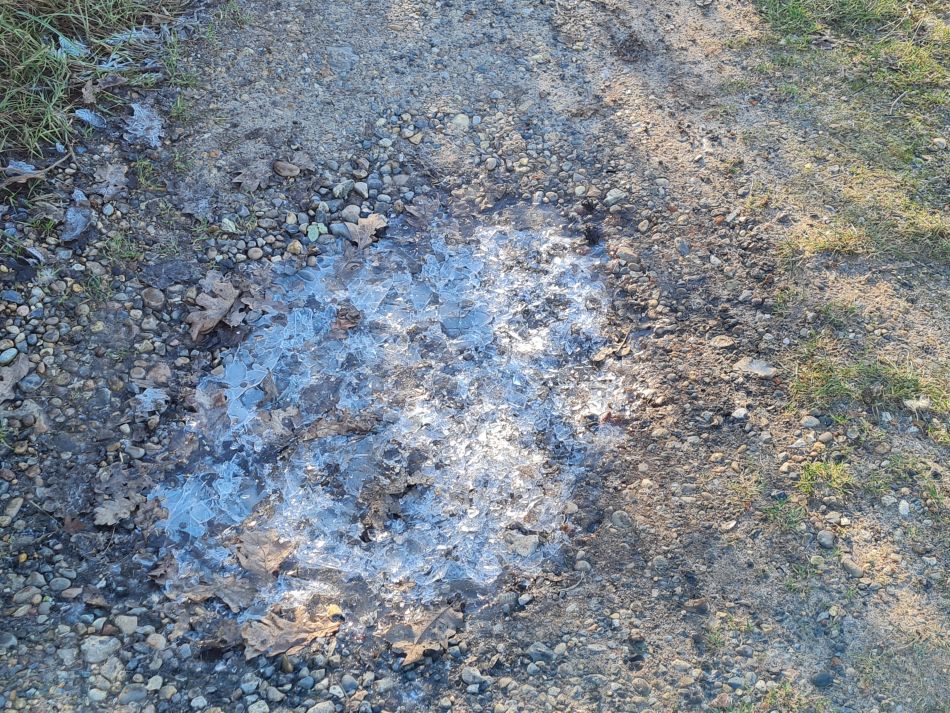 2024-01-10 03 Roger Moore Memorial.jpg