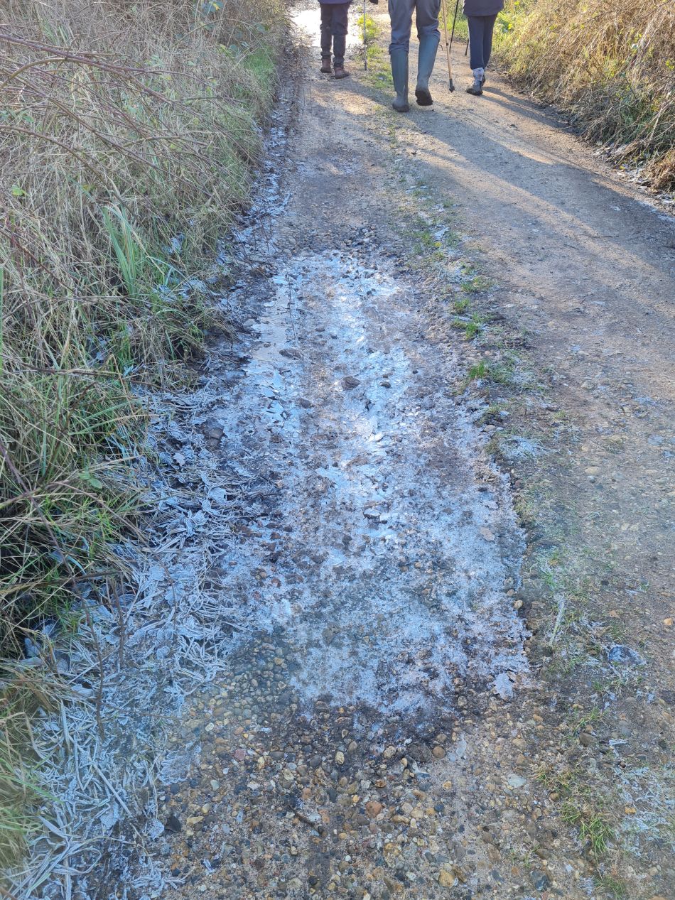 2024-01-10 04 Roger Moore Memorial.jpg