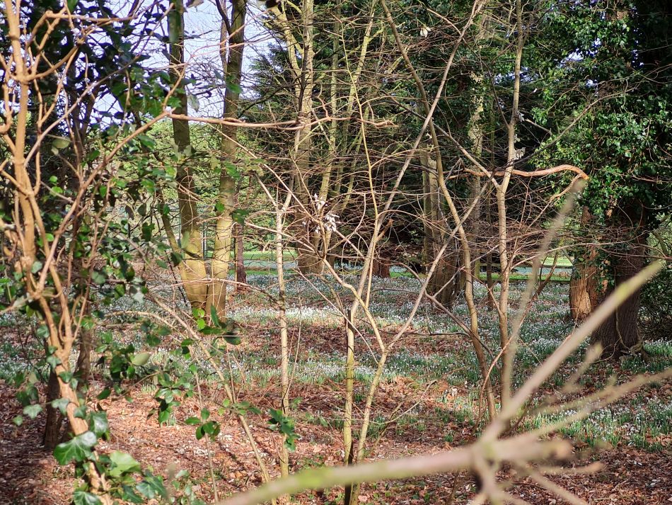 2024-02-02 16 Worlingham.jpg