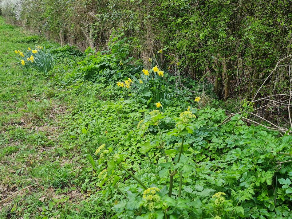 2024-03-24 05 Ellough and Worlingham.jpg