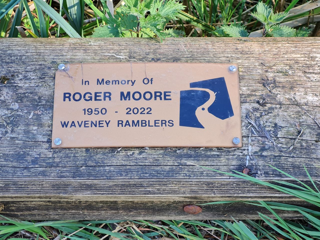 2025-04-18 03 North Cove and Waveney.jpg