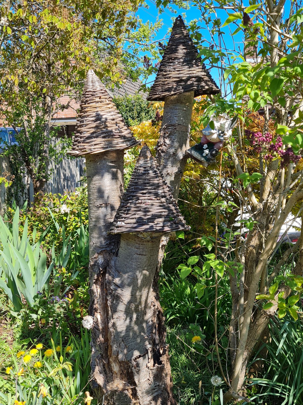 2025-04-18 04 North Cove and Waveney.jpg