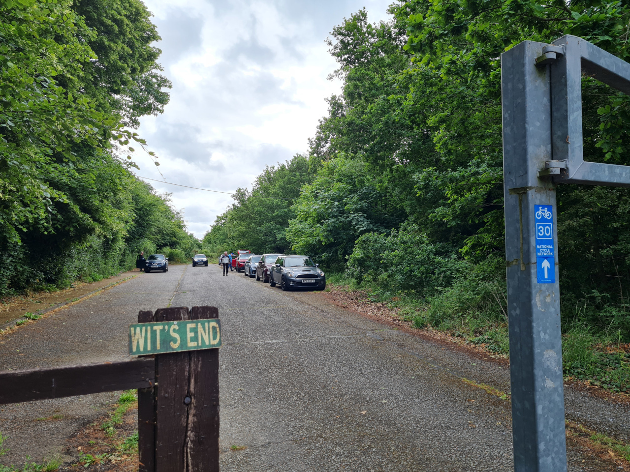 2025-06-06 02 North Cove Nature Reserve.jpg