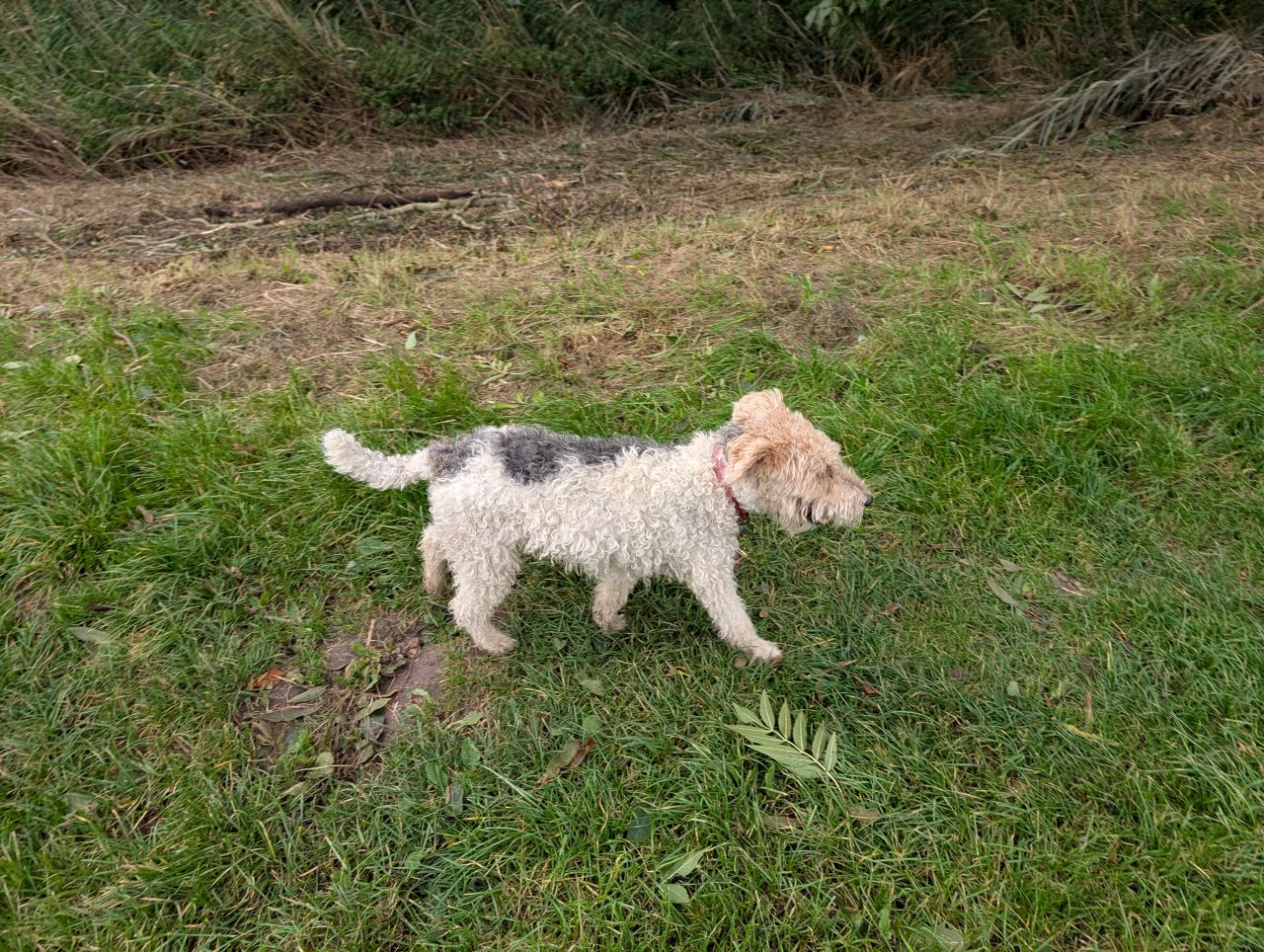 2025-10-08 03 North Cove and Wade Hall.jpg