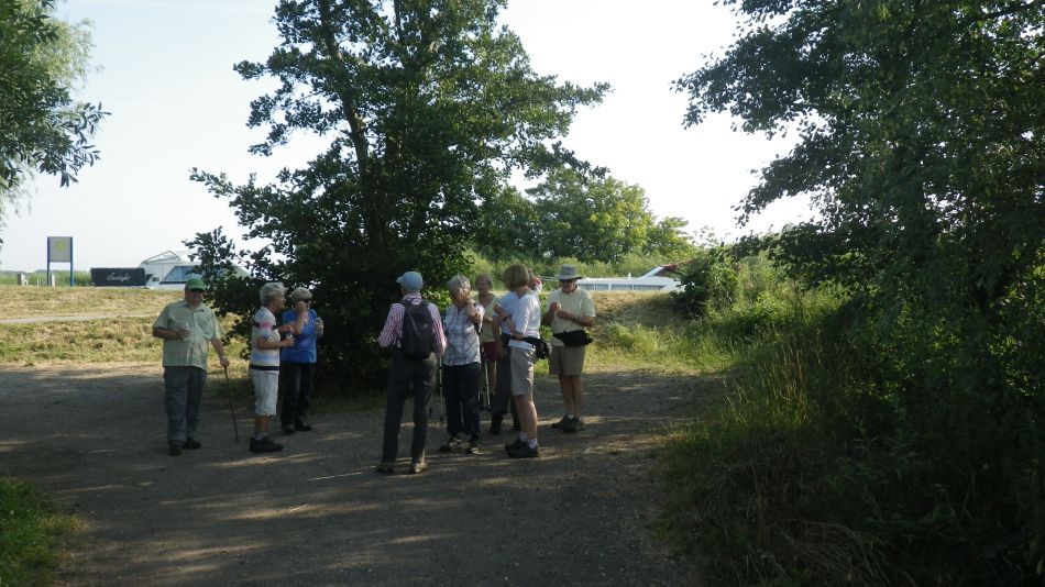 2018-07-07 02 Breakfast Walk at Barnby.jpg