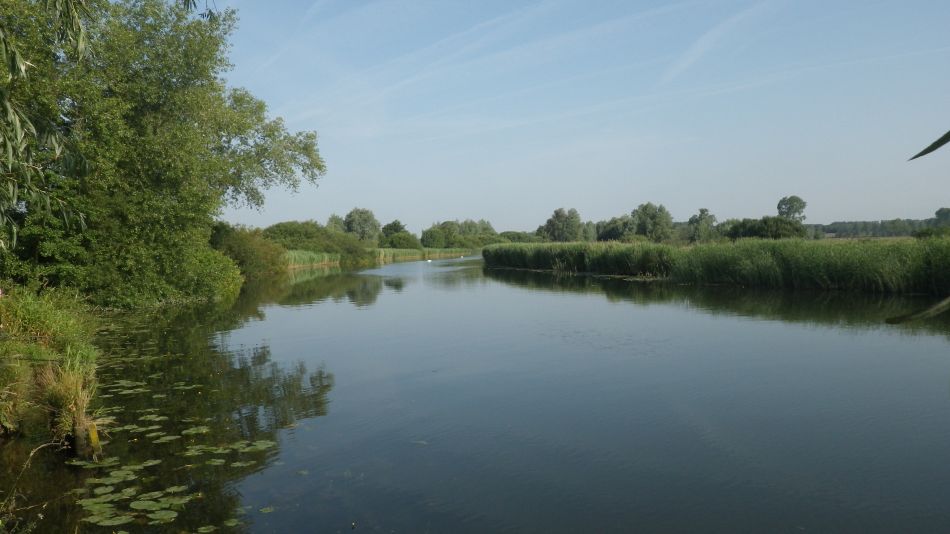 2018-07-07 03 Breakfast Walk at Barnby.jpg