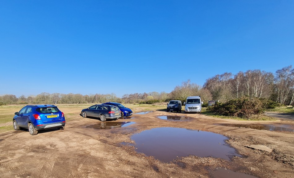 2015-06-09 01 Bressingham.jpg