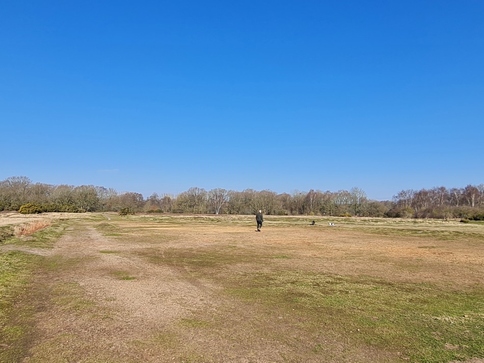 2015-06-09 02 Bressingham.jpg