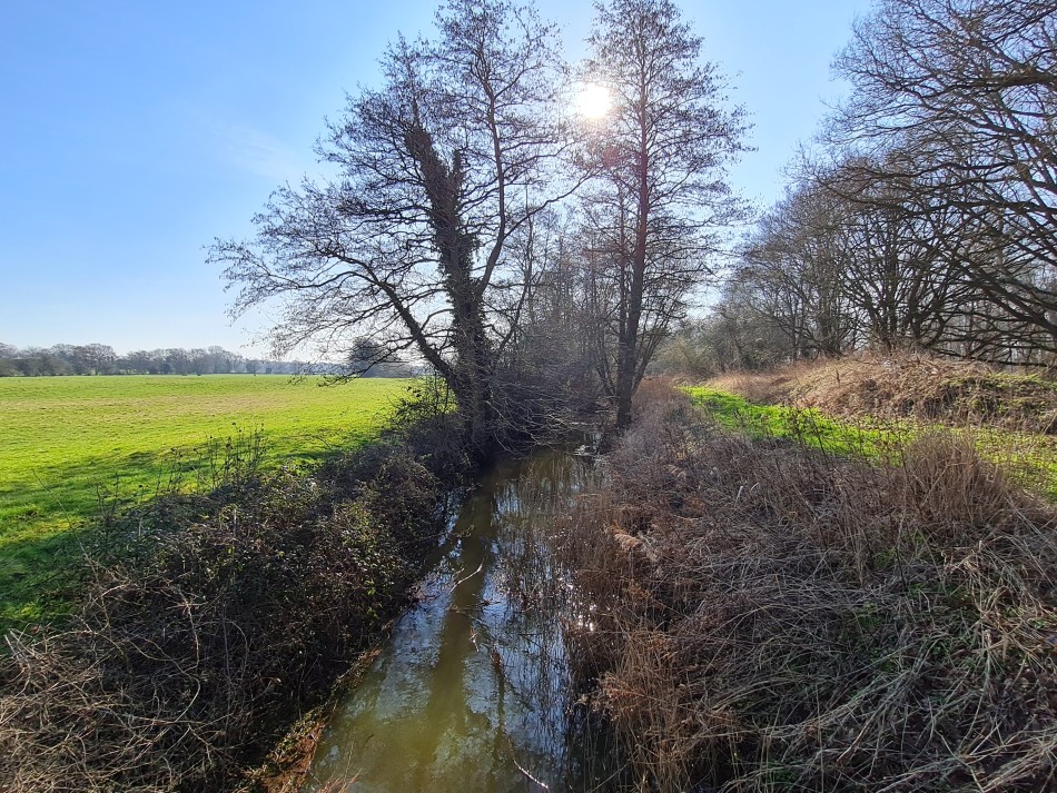 2015-06-09 03 Bressingham.jpg