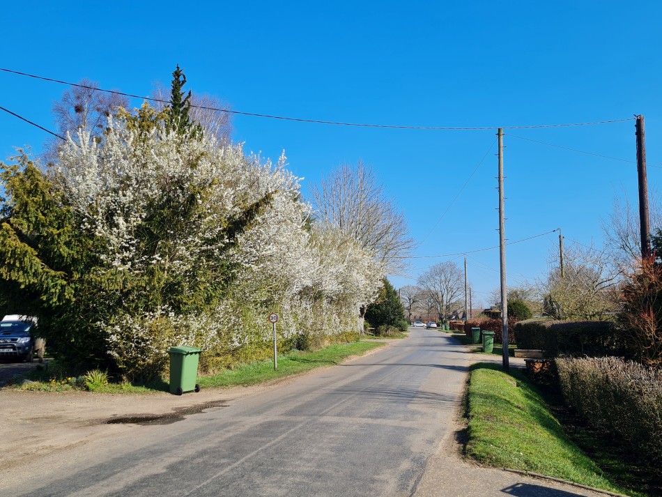 2015-06-09 05 Bressingham.jpg