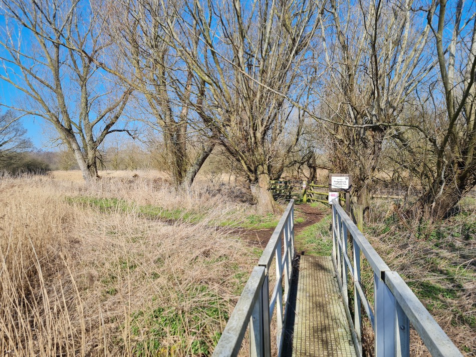 2015-06-09 08 Bressingham.jpg