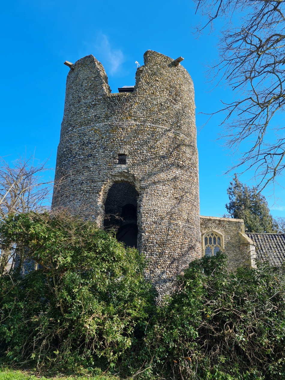 2015-06-09 14 Bressingham.jpg