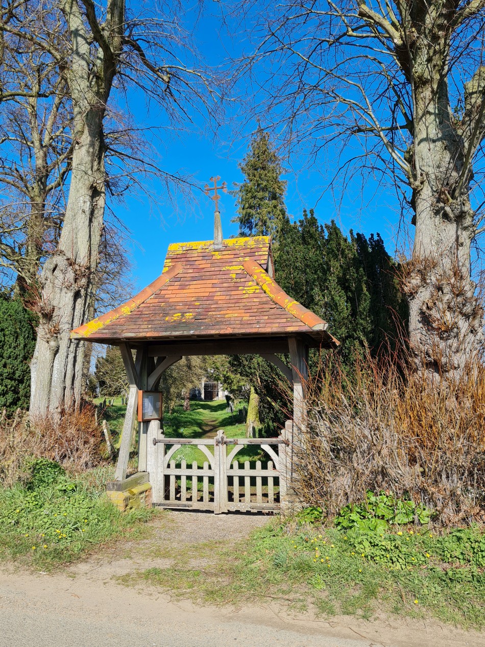 2015-06-09 23 Bressingham.jpg