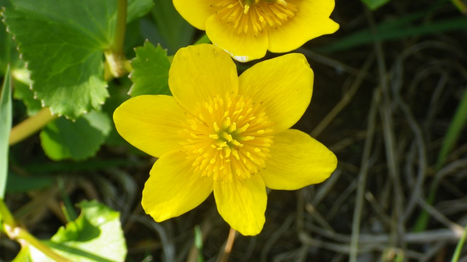 2017-04-23 04 Angles Way Circular.jpg