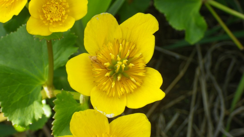 2017-04-23 05 Angles Way Circular.jpg