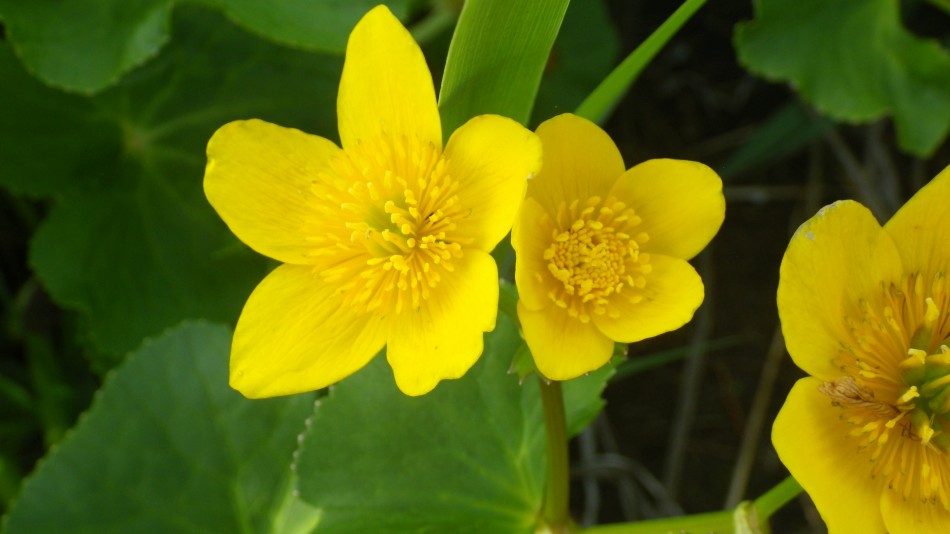 2017-04-23 06 Angles Way Circular.jpg