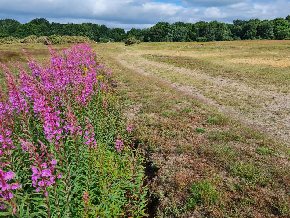 2021-07-15 01 Redgrave and Wortham.jpg