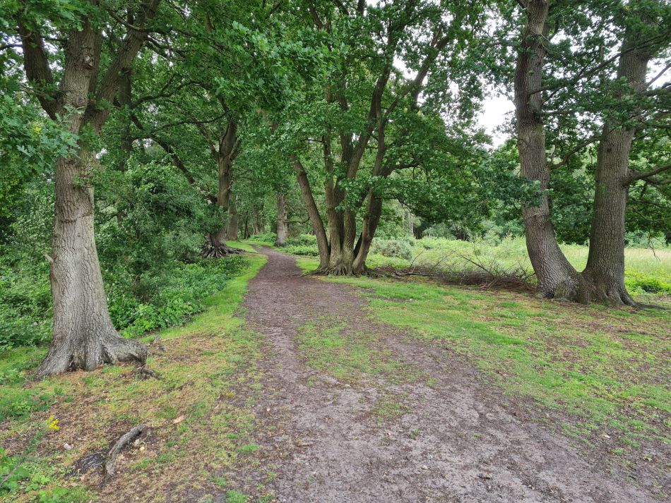 2021-07-15 02 Redgrave and Wortham.jpg