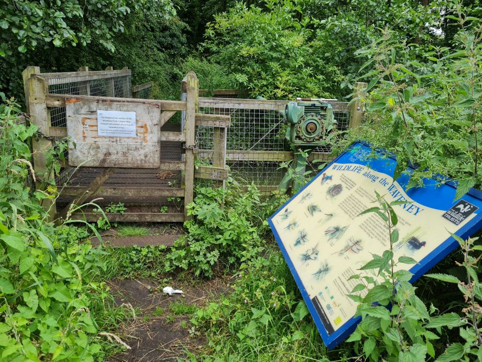 2021-07-15 03 Redgrave and Wortham.jpg