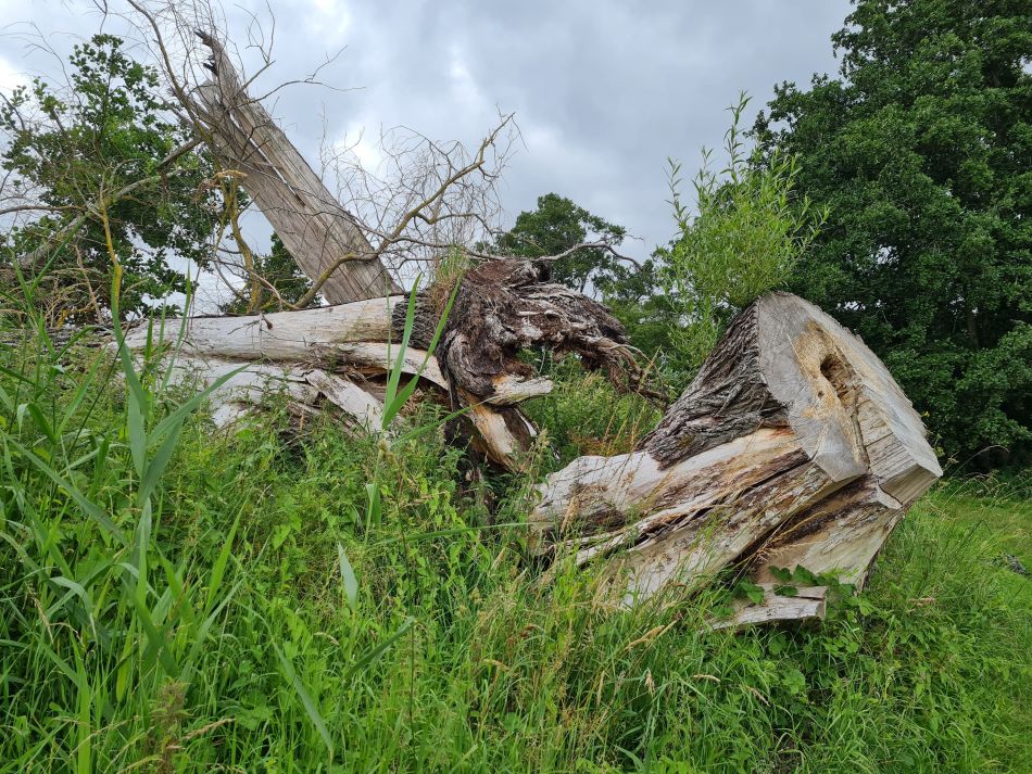 2021-07-15 04 Redgrave and Wortham.jpg