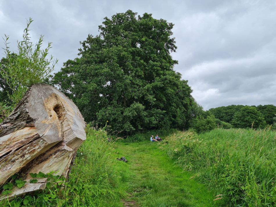 2021-07-15 05 Redgrave and Wortham.jpg