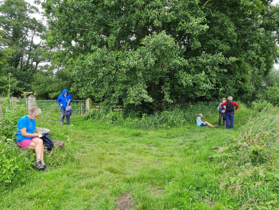 2021-07-15 07 Redgrave and Wortham.jpg