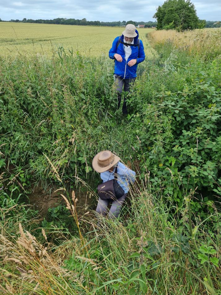 2021-07-15 08 Redgrave and Wortham.jpg