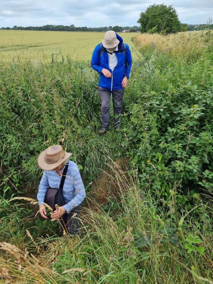 2021-07-15 09 Redgrave and Wortham.jpg