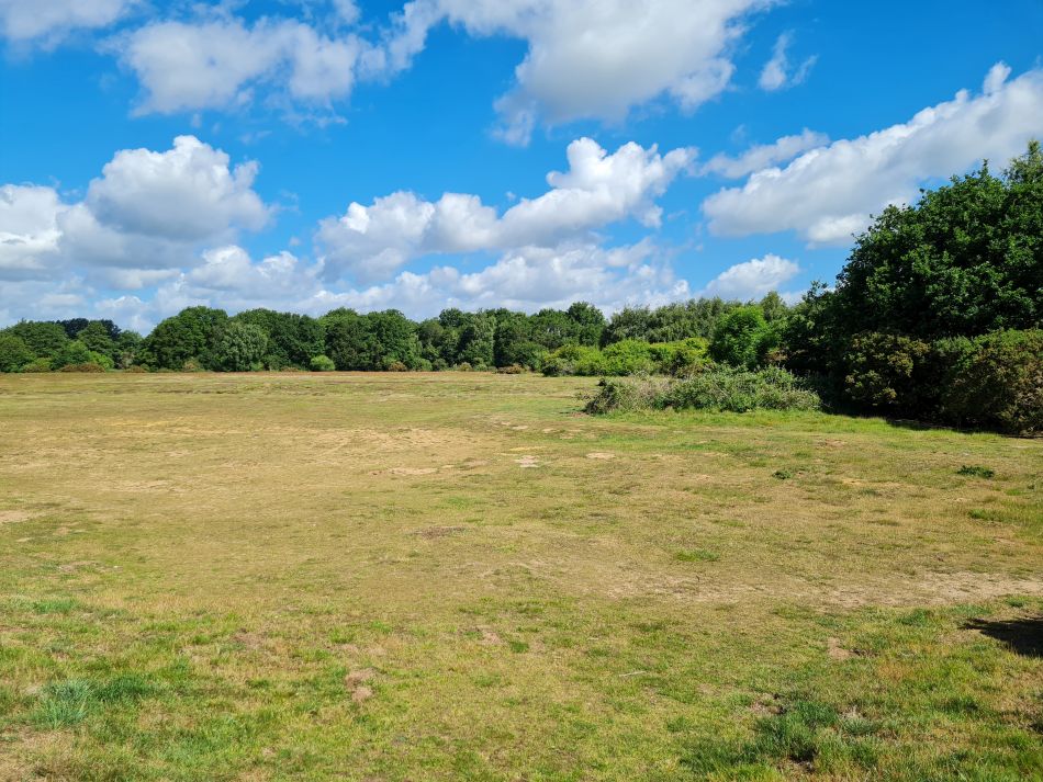 2022-06-09 02 Angles Way 9 - Bressingham.jpg