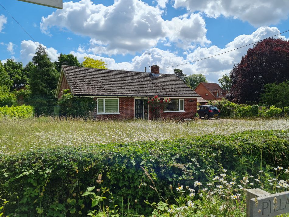 2022-06-09 03 Angles Way 9 - Bressingham.jpg