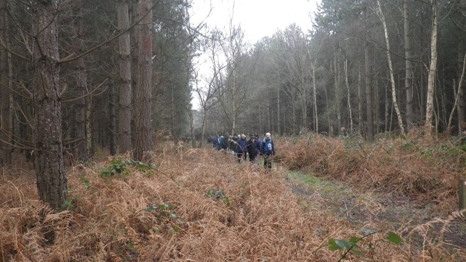 2017-01-25 05 Dunwich Area.jpg