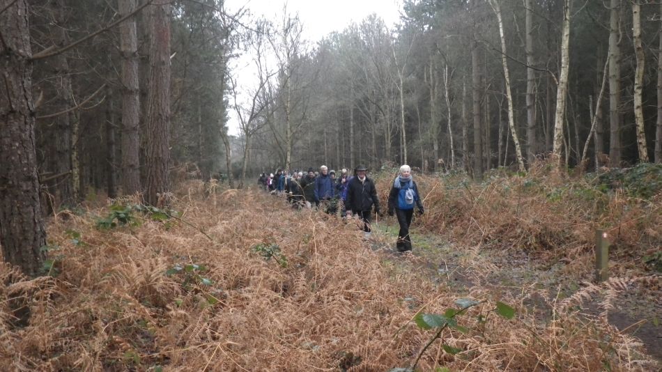 2017-01-25 06 Dunwich Area.jpg