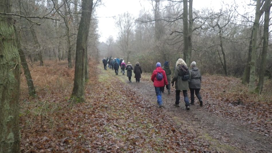 2017-01-25 09 Dunwich Area.jpg