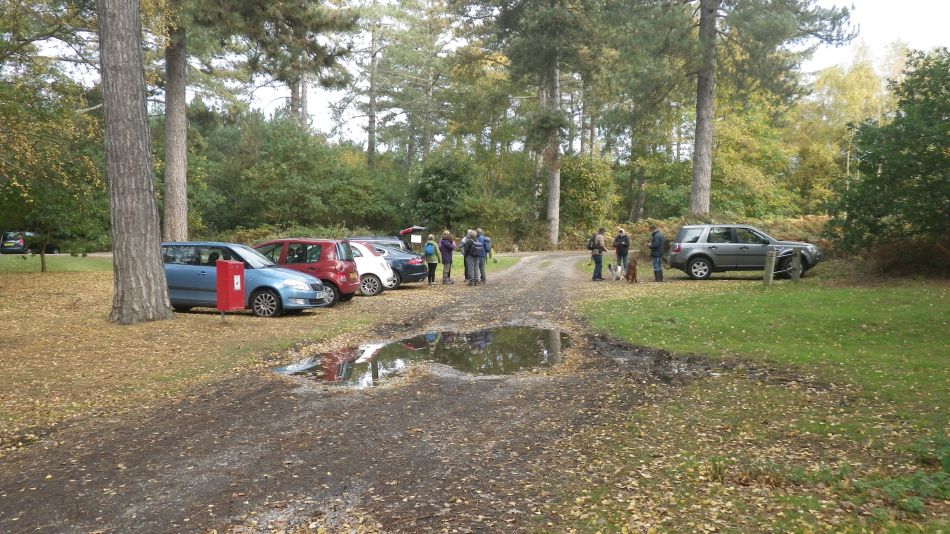 2017-10-22 01 Dunwich Forest and Walberswick.jpg